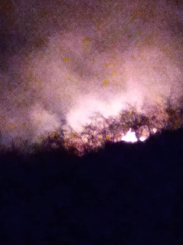 Fındık bahçelerinde yakılan temizlik ateşleri Ormanları Yakıyor!