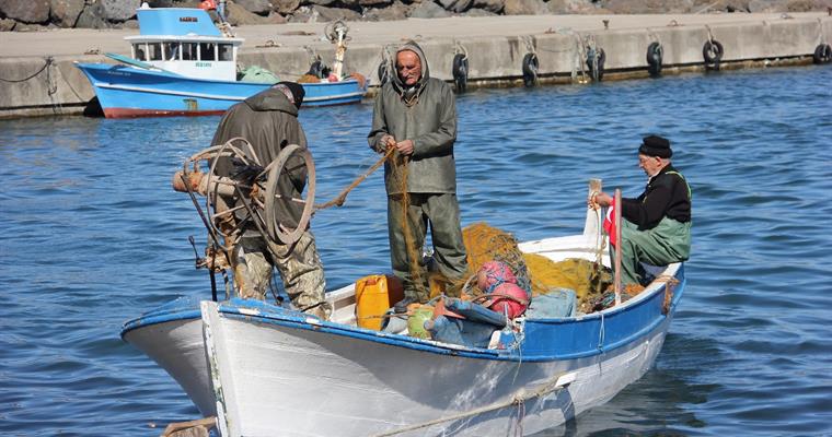Geleneksel Kıyı Balıkçılığı Destekleme Başvuruları Başlamıştır