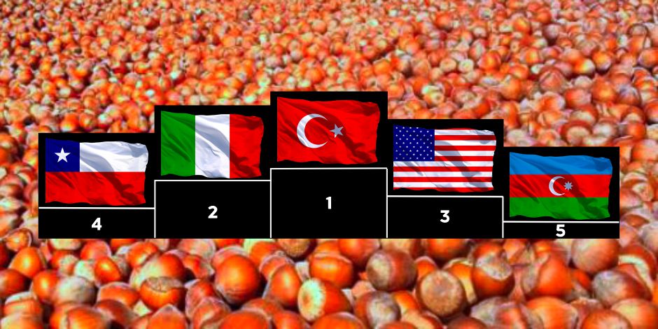 Fındık Üretiminde Lider Ülke, Türkiye