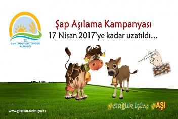 Şap Aşılama Kampanyasının süresi