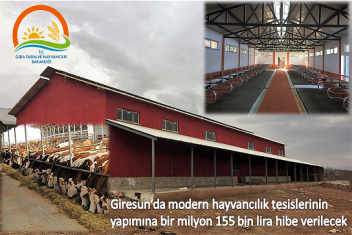 Modern hayvancılık tesislerinin yapımına hibe