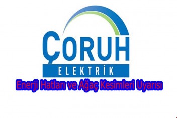 Enerji Hatları ve Ağaç Kesimleri