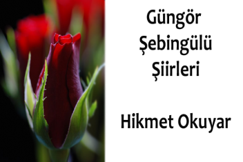 Güngör Şebingülü
