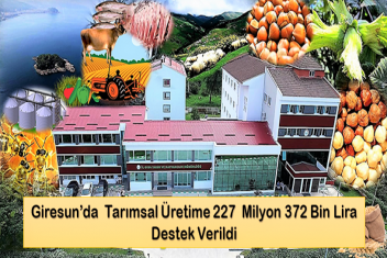 Giresun’da Tarımsal Üretime 227 Milyon 372 Bin Lira Destek