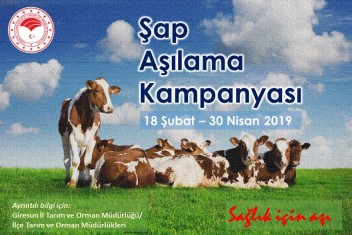 Şap Aşılama Kampanyası
