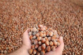 ÇİFTÇİ KAYIT SİSTEMİ BAŞVURUDA SON GÜN 28