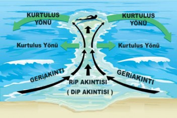 DALGALI DENİZE