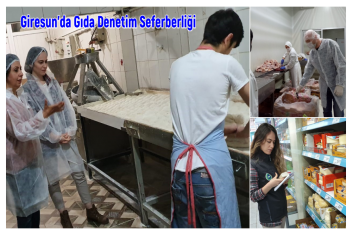 Giresun’da Gıda Denetim
