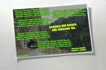 MÜZE ŞAİR ŞİİRİ ile GÜL