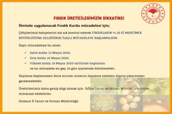 FINDIK ÜRETİCİLERİMİZİN