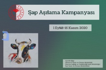 Şap Aşılama Kampanyası