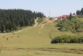 Giresunda yaylada mahalle