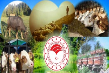 HAYVANCILIK DESTEKLEMELERİ BAŞVURU TARİHLERİ BELLİ
