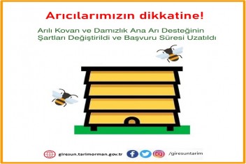 Ana Arı Desteğinin Şartları Değiştirildi ve Başvuru Süresi