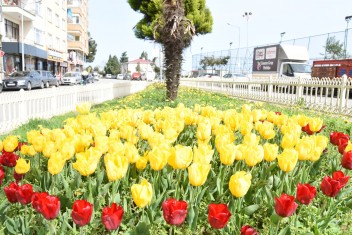 GÖRSEL BİR ŞÖLEN