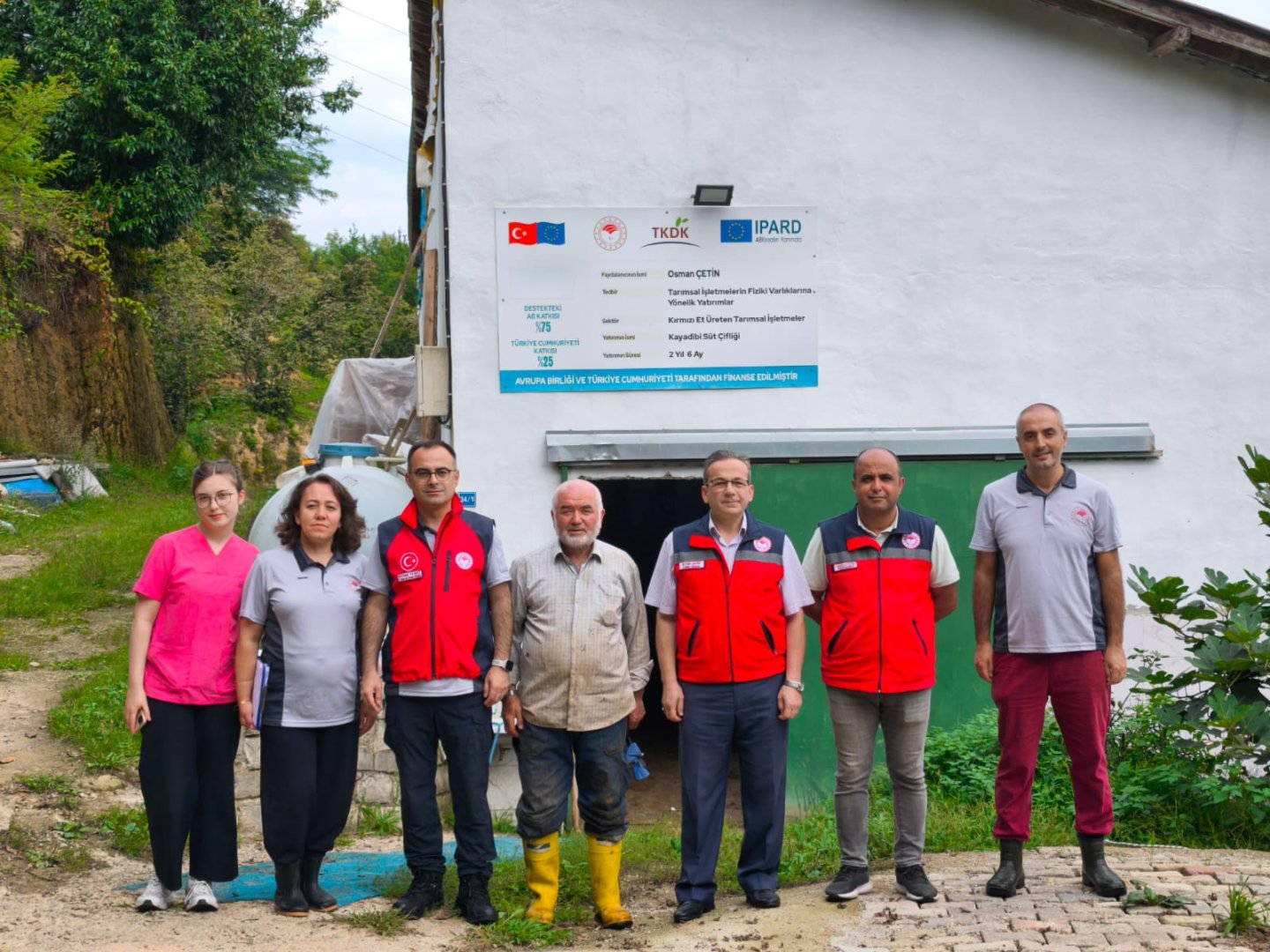 Giresun'da Şap Aşılama Çalışmaları Devam Ediyor
