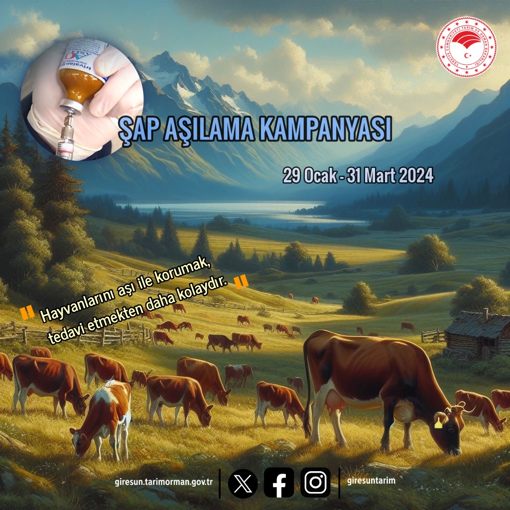 Şap Aşılama Kampanyası Başladı