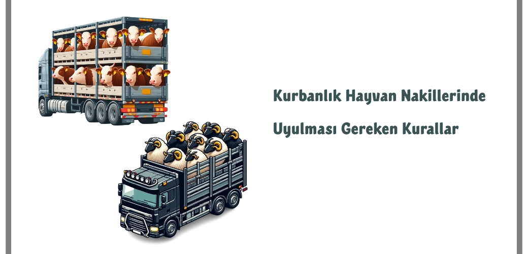 Kurbanlık Hayvan Nakillerinde Uyulması Gereken Kurallar