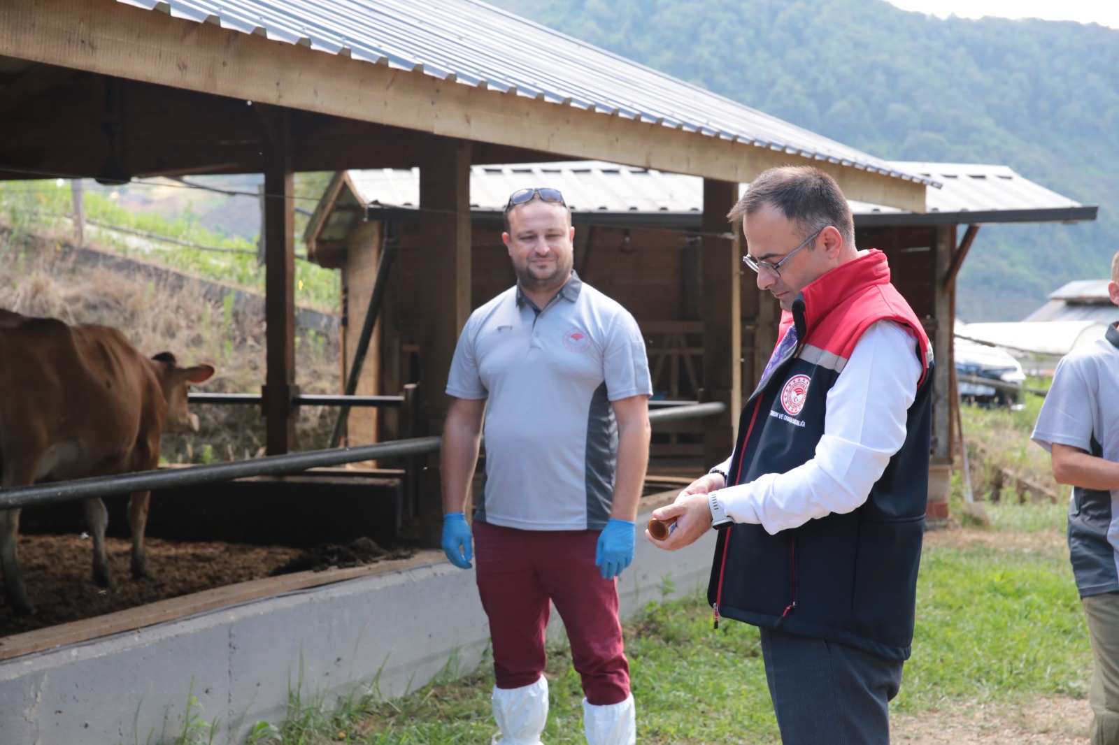 Koruyucu aşılama çalışmalarına başlandı