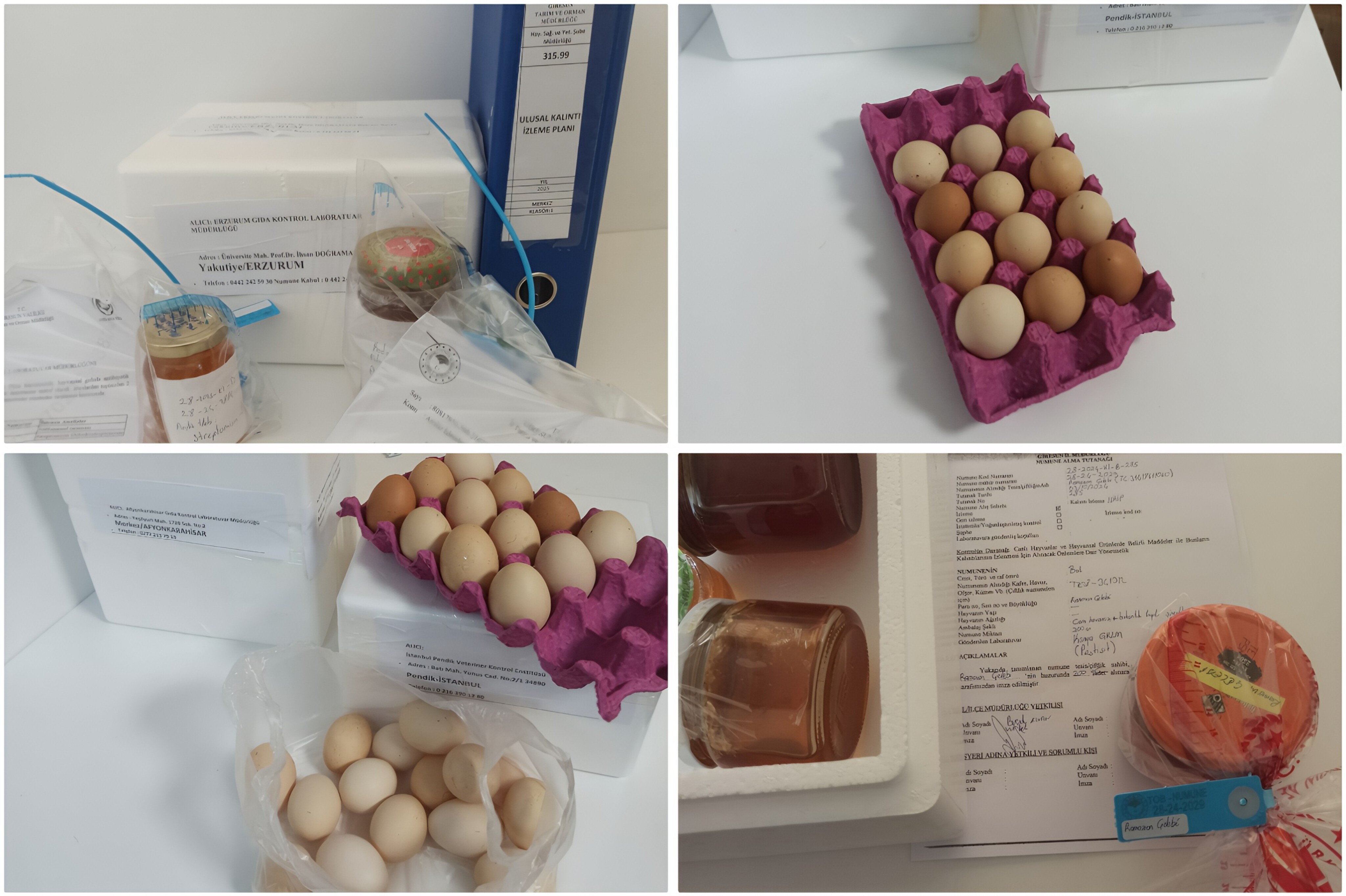 Çiftliklerden Numuneler Alındı