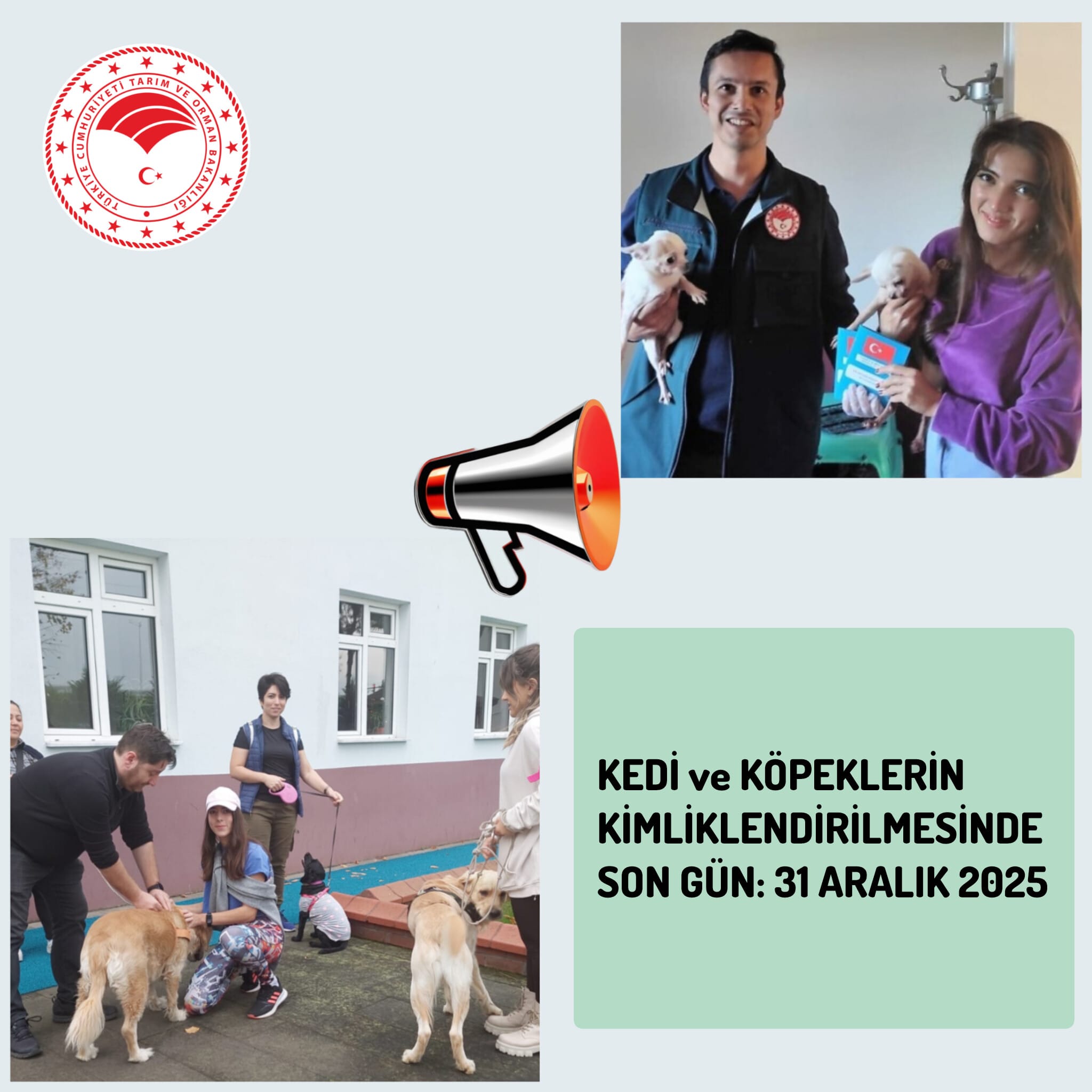 KEDİ ve KÖPEKLERİN KİMLİKLENDİRİLMESİNDE SON GÜN: 31 ARALIK 2025